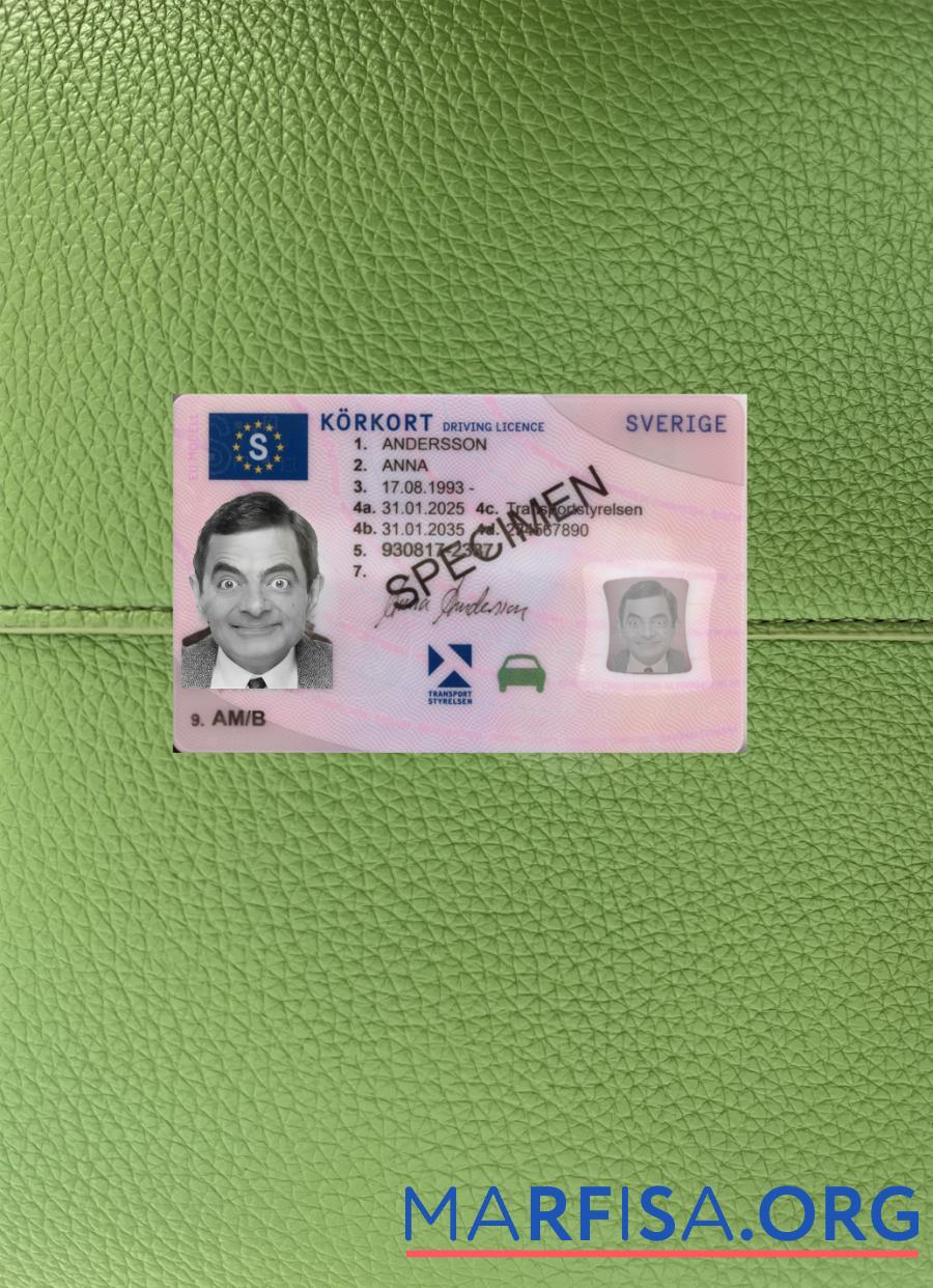 Printable Sweden driving license 2025 present photolook example